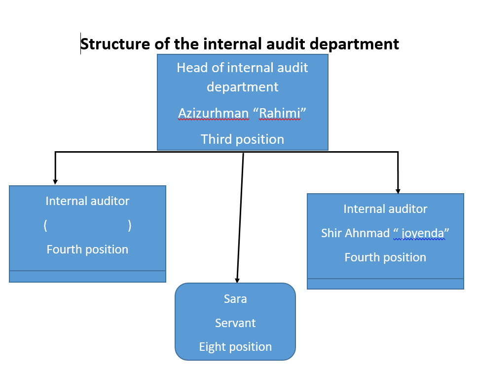 structure of the internal audit department of asa